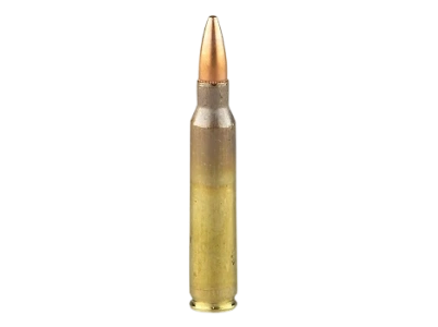 5.56x45 mm Cartridges