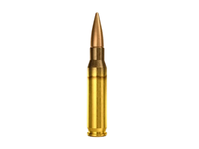 7.62x51 mm Cartridges