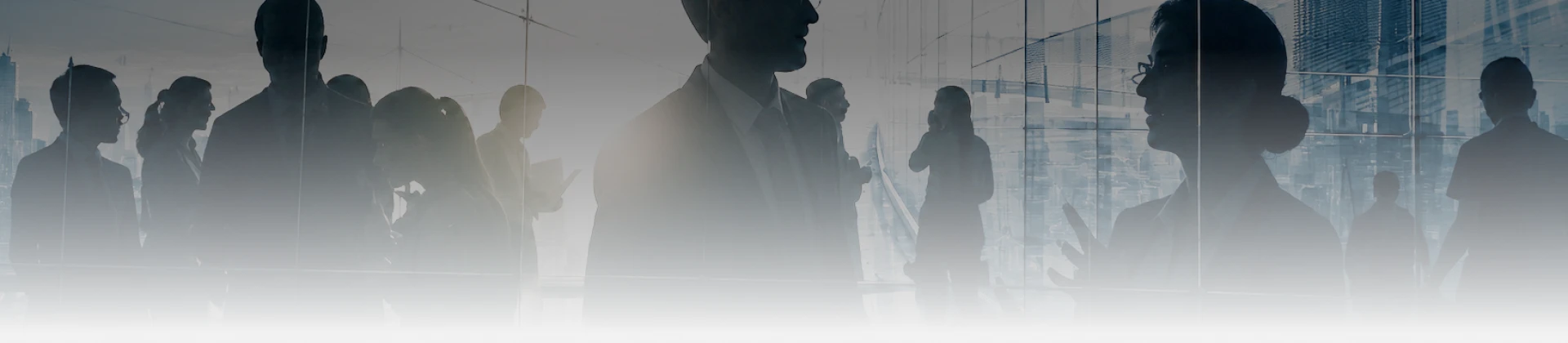 Contact Banner
