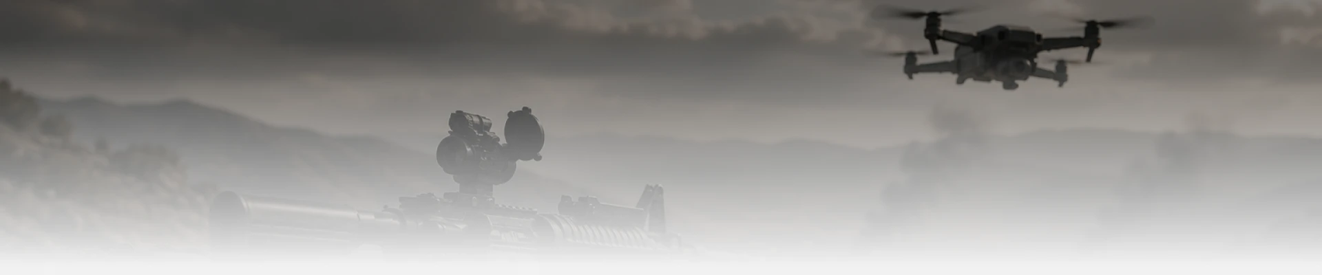 Banner section